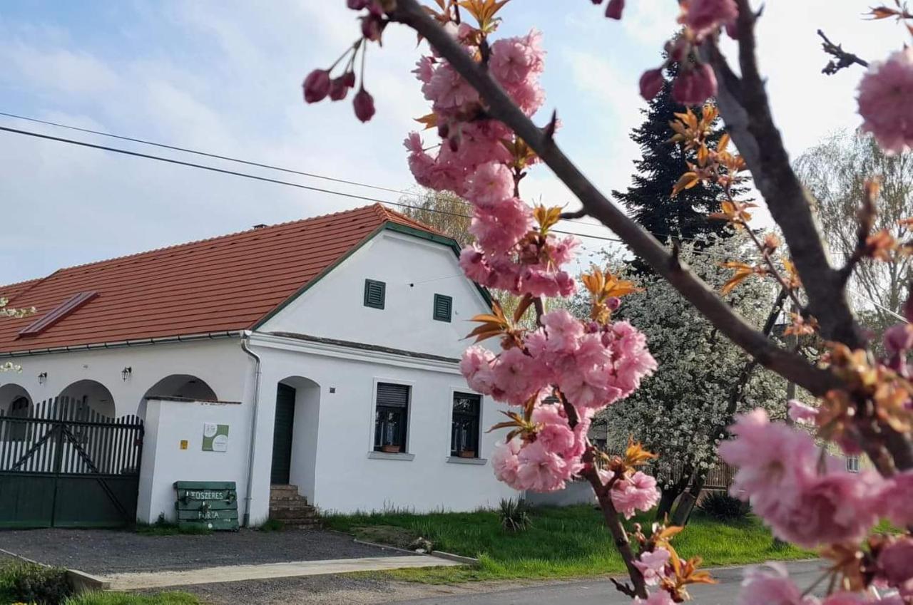 Fuszeres Porta Villa Mihalyfa Exterior photo